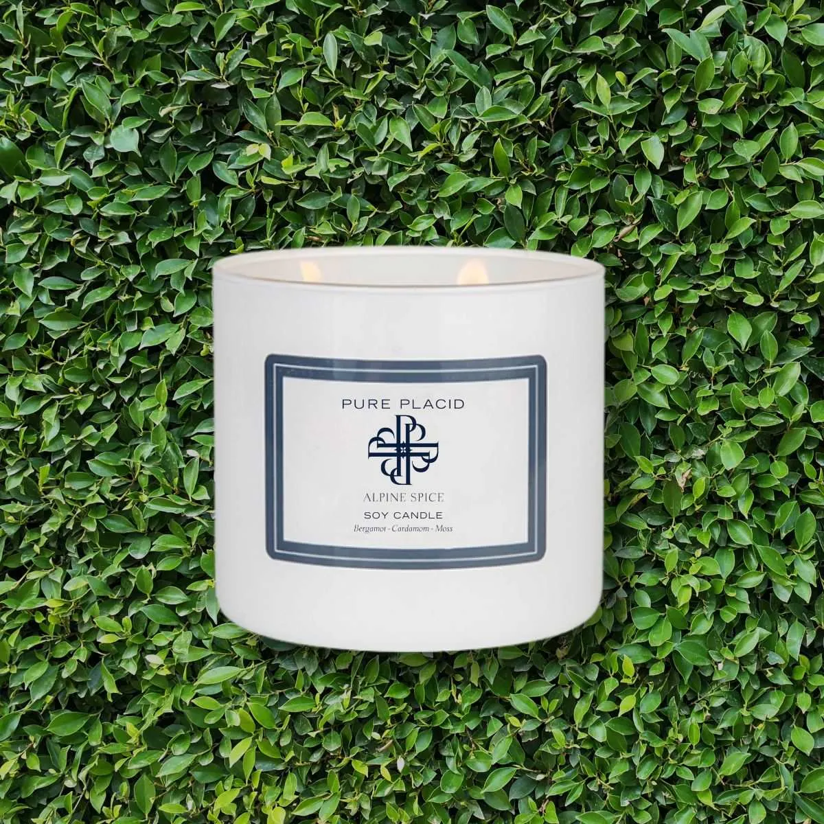 Alpine Spice Soy Candle